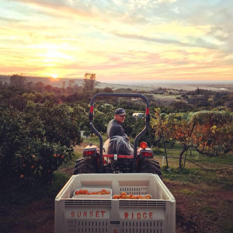 23844678 1776594809020156 8650994491762876903 n 768x768