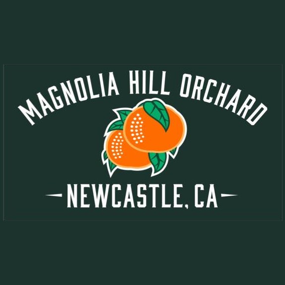 239616467 108354884893965 4282988767743223028 n 1