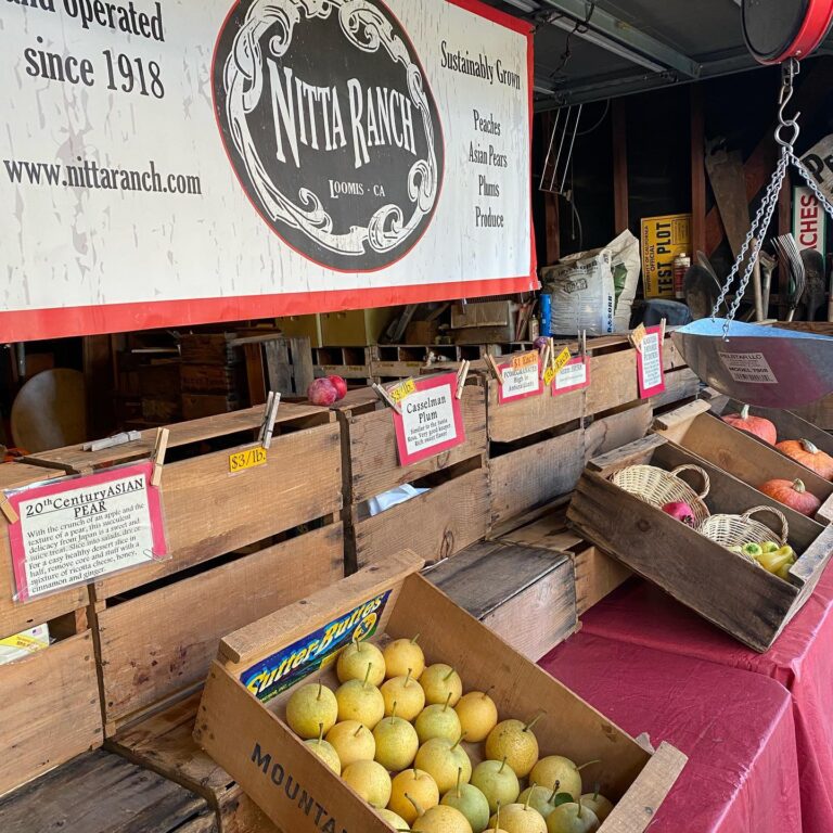 241326665 4291305204283881 3843015272017103742 n 768x768