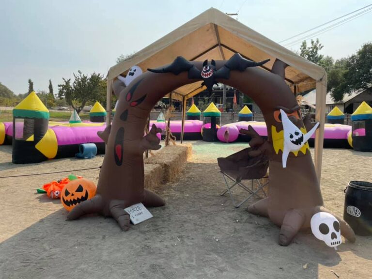 244546442 4400697340016853 2769630072991180560 n 768x576