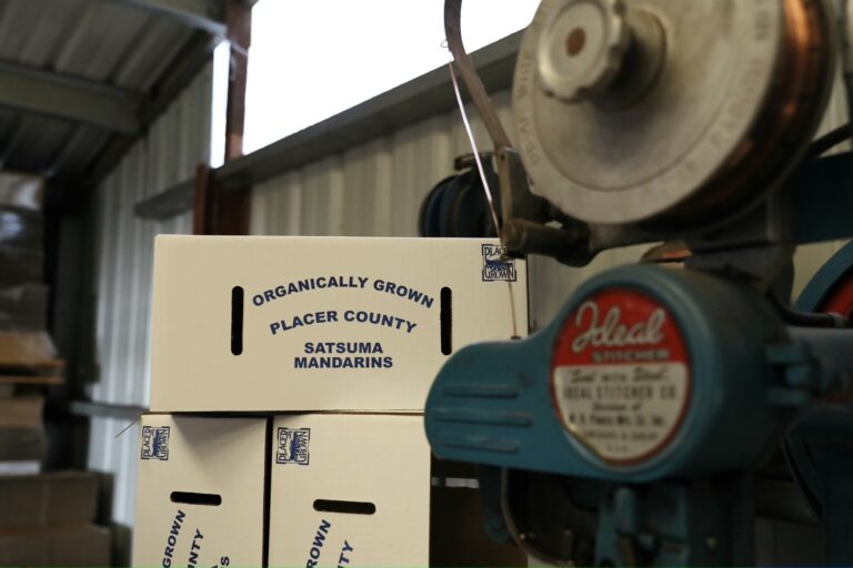 257273970 3099901373584184 7810986209281499751 n 768x512