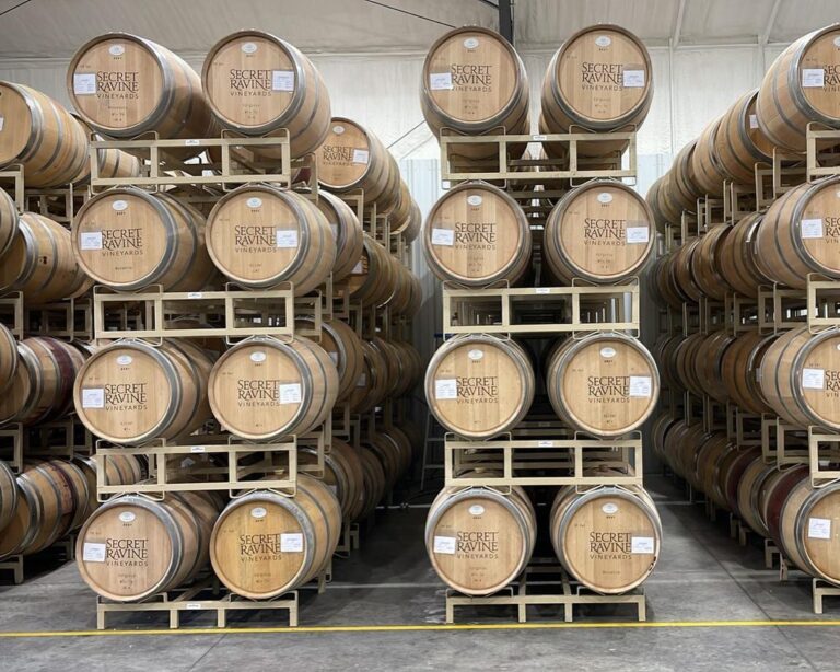 274625614 4651623464965242 8888654873197252710 n 768x614