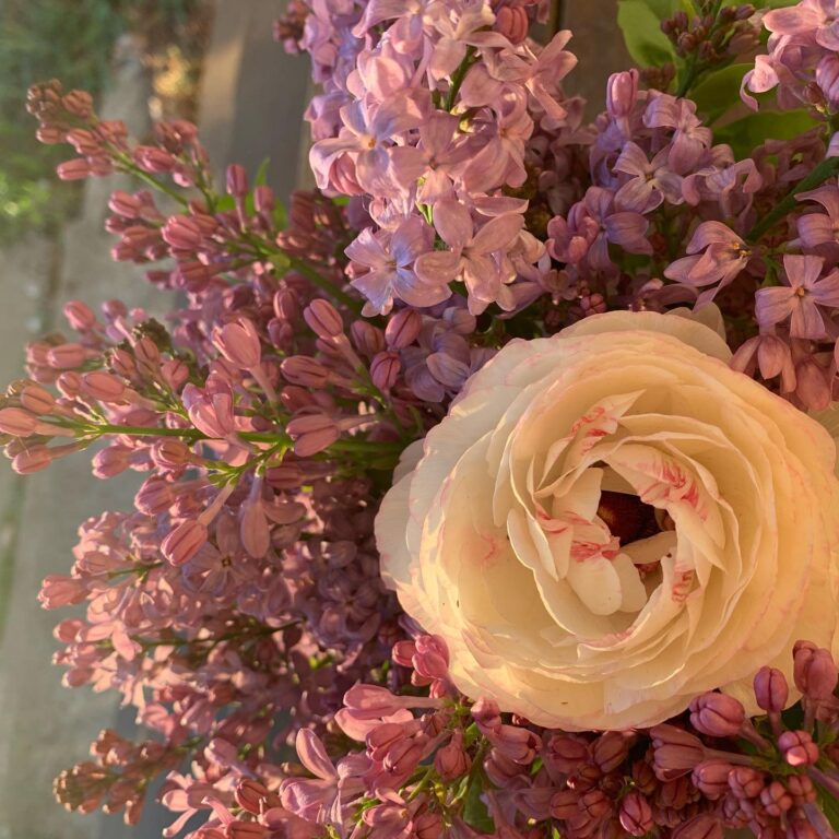 275890455 5113556222042900 1234943378372427357 n 768x768