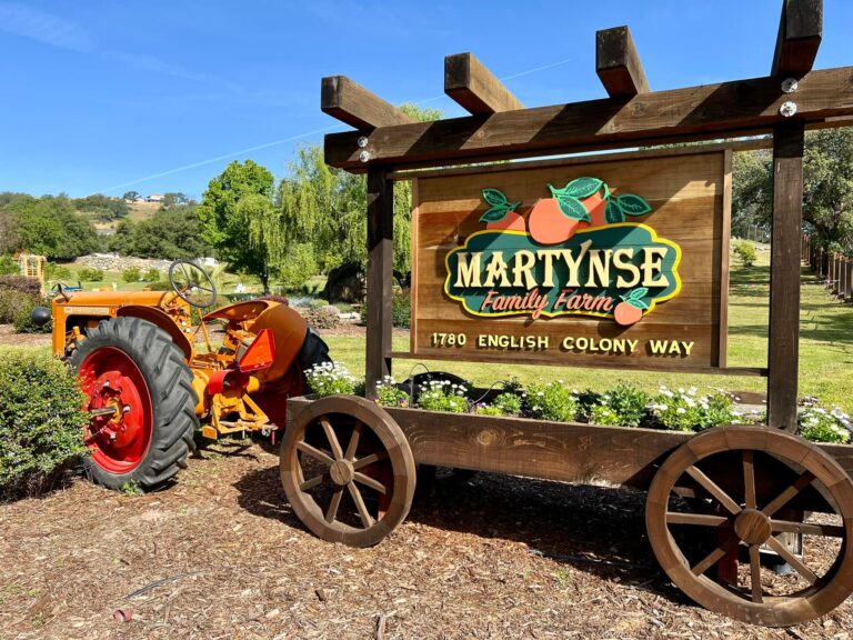 277769961 2118883084925419 7731249219328621465 n 768x576