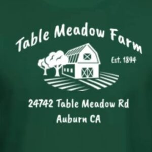 280569919 525661222567478 3328336512241294756 n 300x300