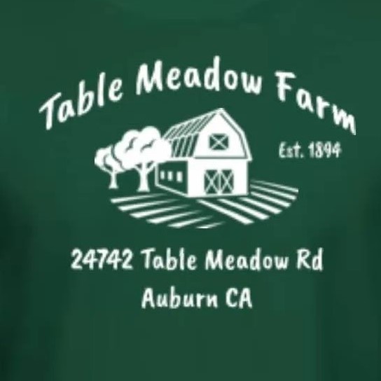 280569919 525661222567478 3328336512241294756 n