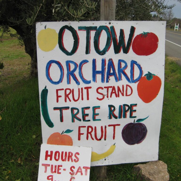 28701021 328024964386085 7071008330307329297 o 1 768x768