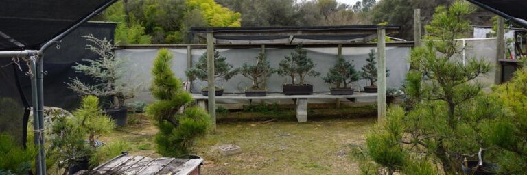 28872276 2049114111771032 8005650659846127616 n 768x256