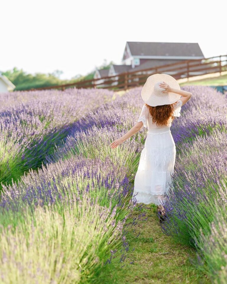 292525606 5326091257479028 5134913891896131927 n 768x960