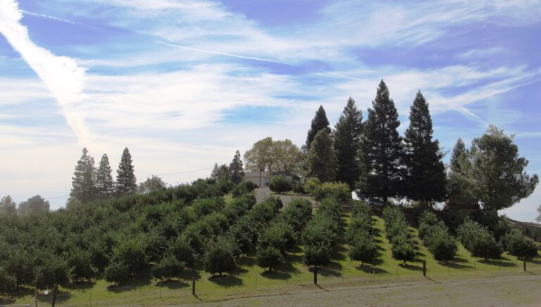 292545618 421268923350662 6718560307297045889 n 768x436