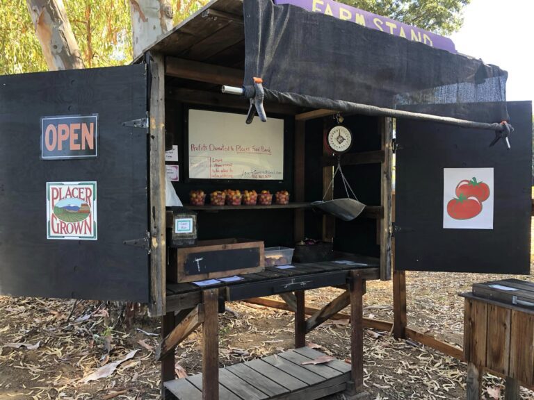 293072342 5532650010086602 8471345551555849365 n 768x576