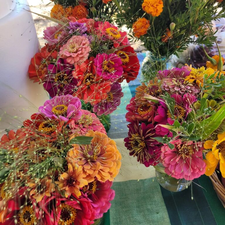 295512774 5480568185340100 643040055405181545 n 768x768