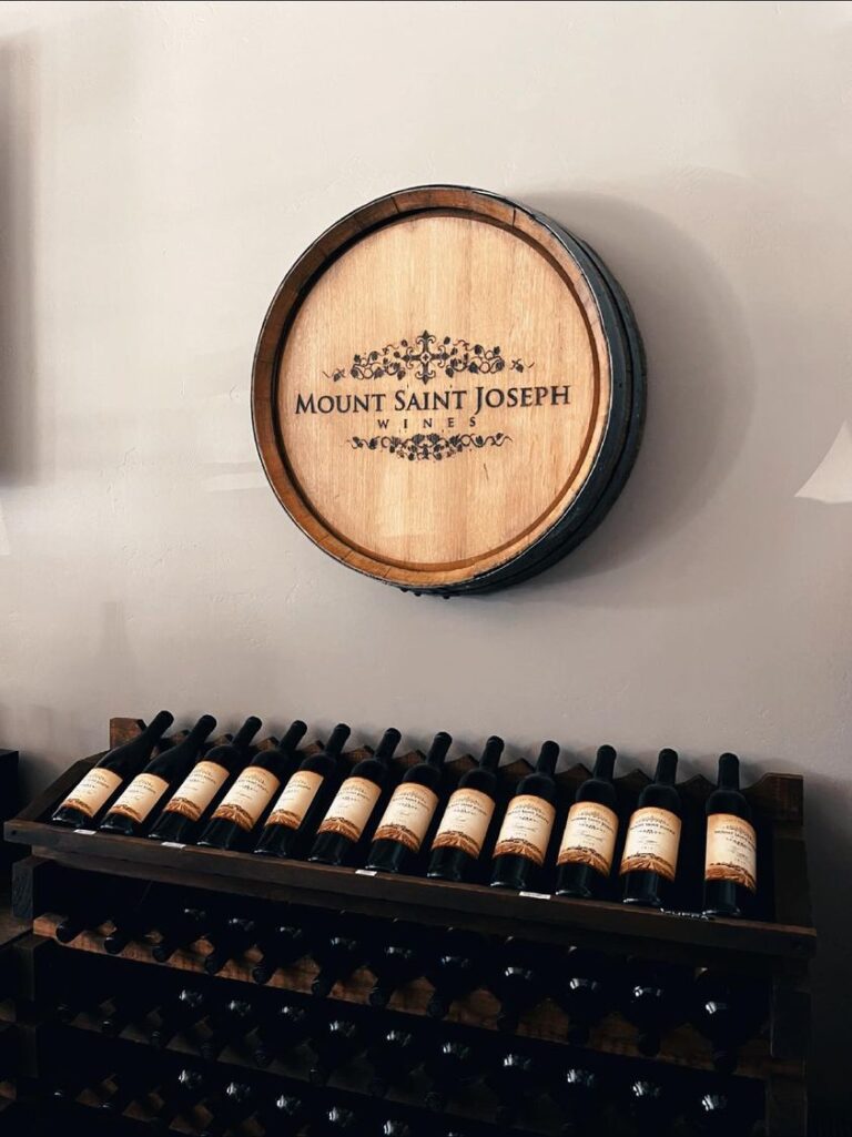 296677281 1930144447190097 1623945868615315628 n 768x1025