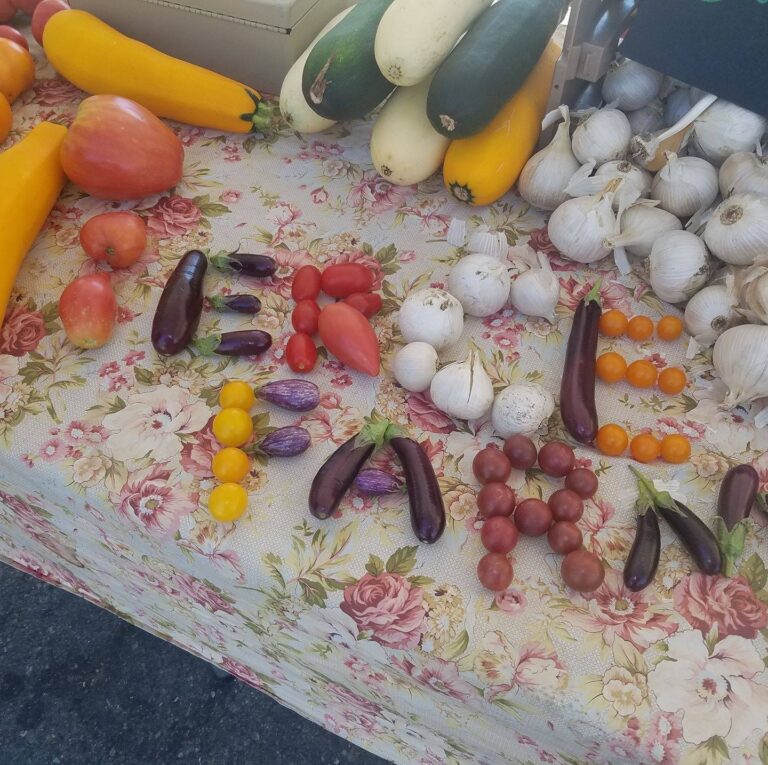 299230364 511294034332971 9118608218180921892 n 768x765