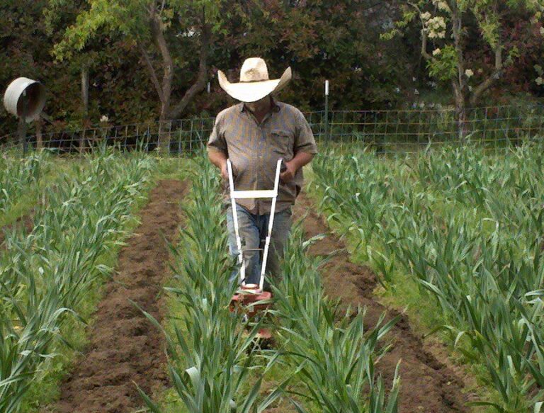 299373566 511294030999638 1558485450199944567 n 768x583