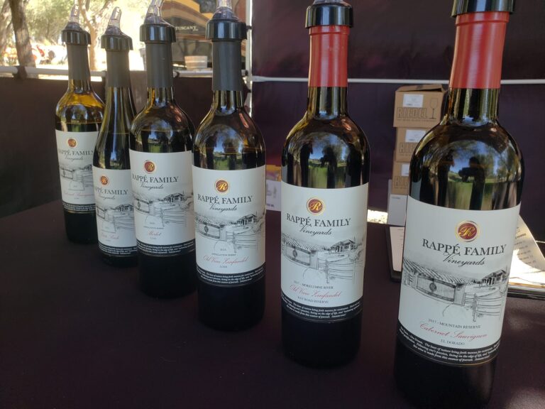 300770321 5525866300813606 2442245645961994047 n 768x576