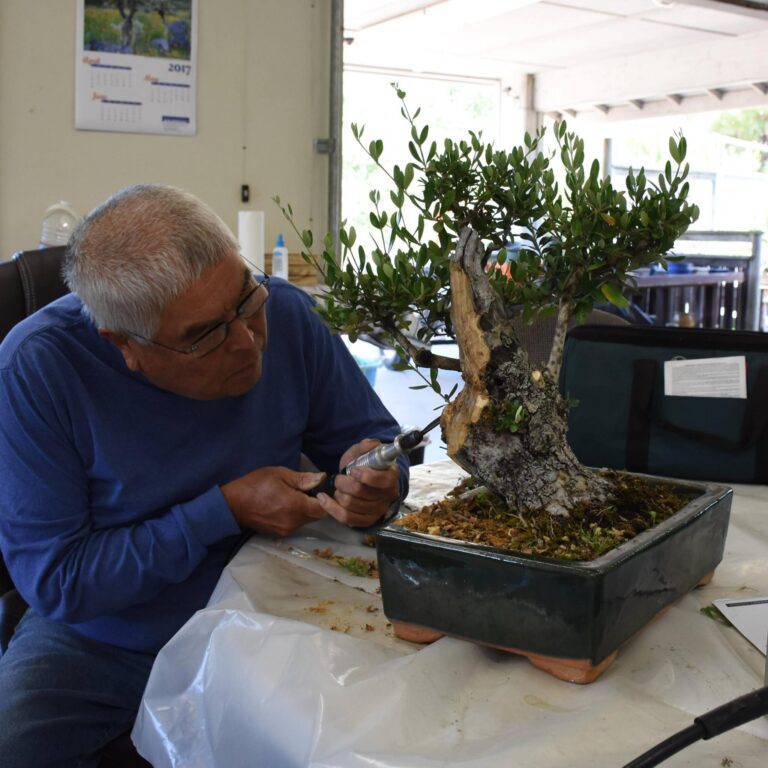 301617803 190789349979031 5797829857662989743 n 768x768