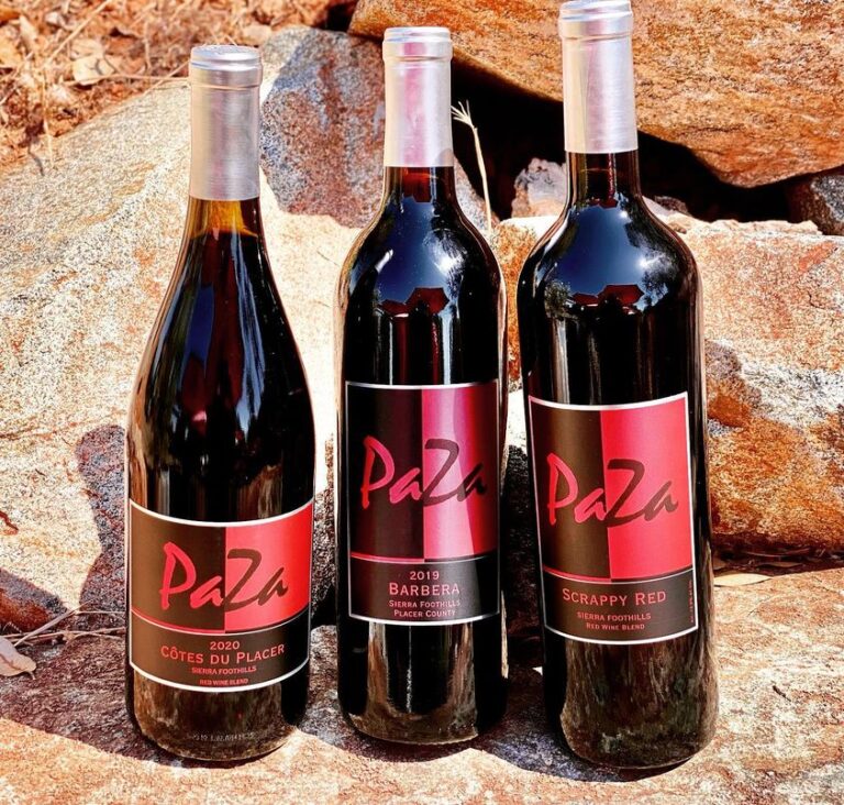 302075692 1985772594949828 4506255791709829129 n 768x732