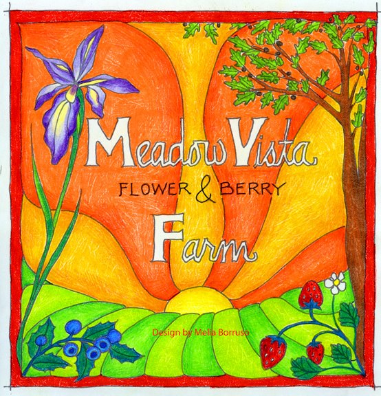 302280505 541172301142711 1237023685132017798 n