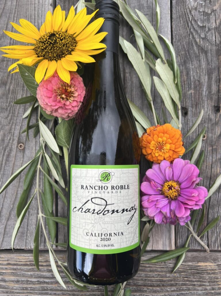 302424986 5556763237719698 8752455737562530692 n 768x1026