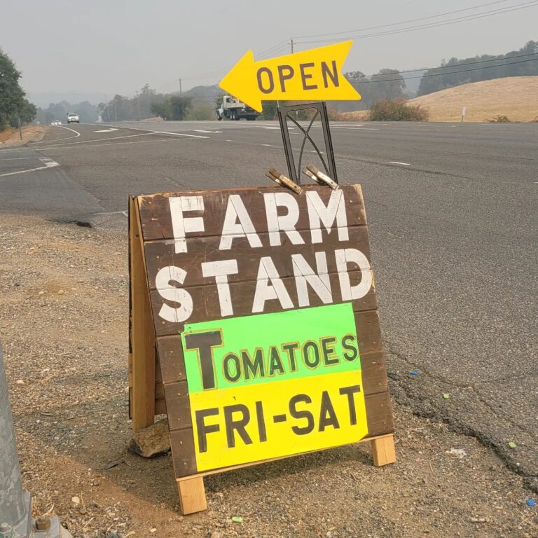 306489187 5619011771495740 2974611340442704246 n 768x768