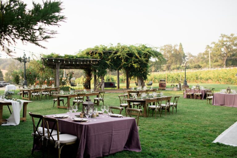 309294995 5518116204903027 5593580559815241500 n 768x512