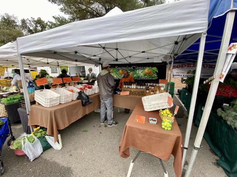 312962816 5525419024251402 8412861560828286343 n 768x576