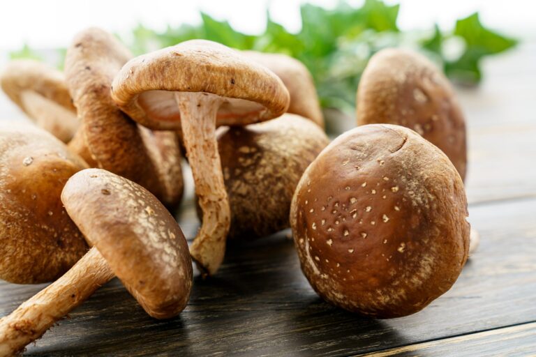 313020480 112923484941807 5644650164367280635 n 768x512