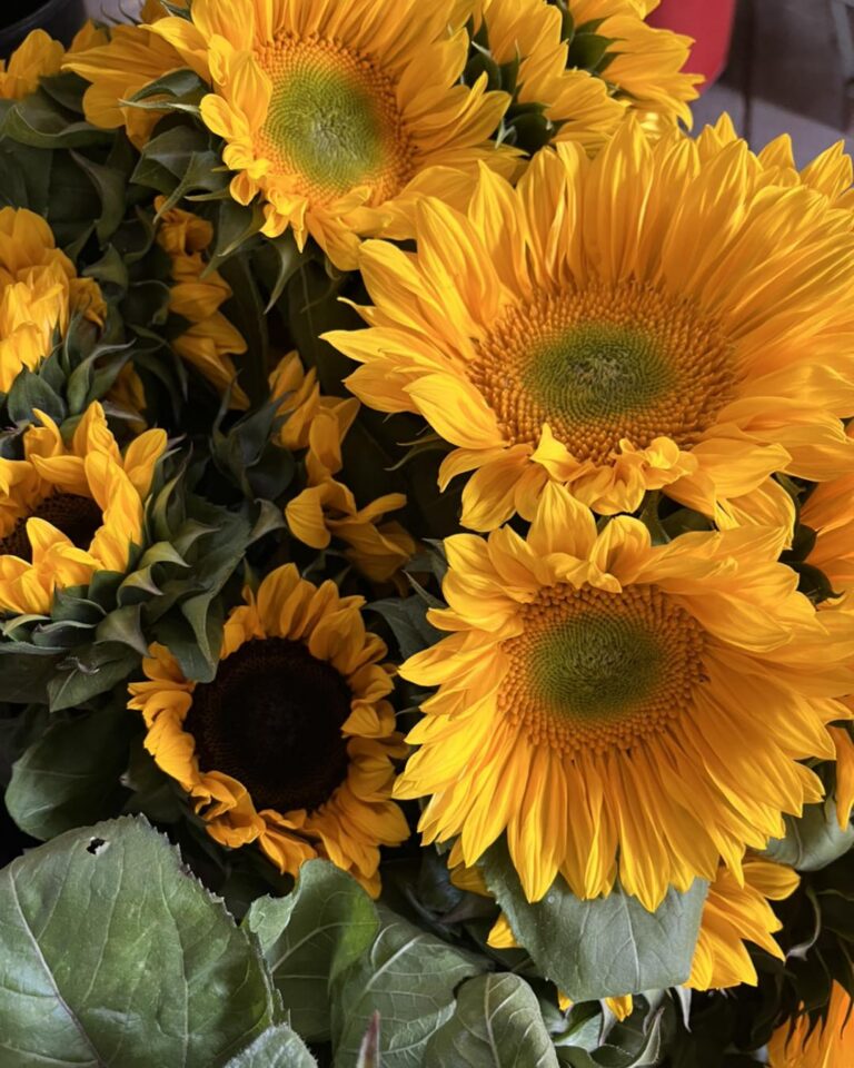 313427330 812392196790725 1298983304673775408 n 768x960