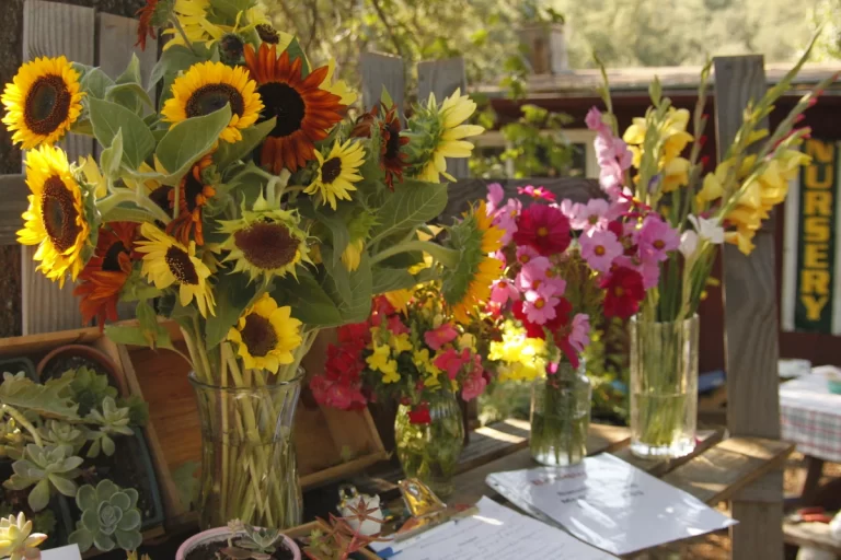 396106 416414 768x512