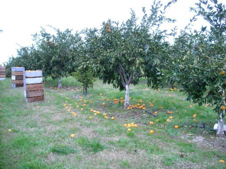 544004 526152754075248 1746580859 n 768x576