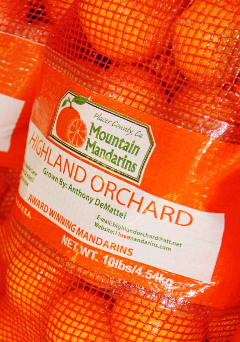 81479610 654146175345907 2896454484756529152 n 768x1093