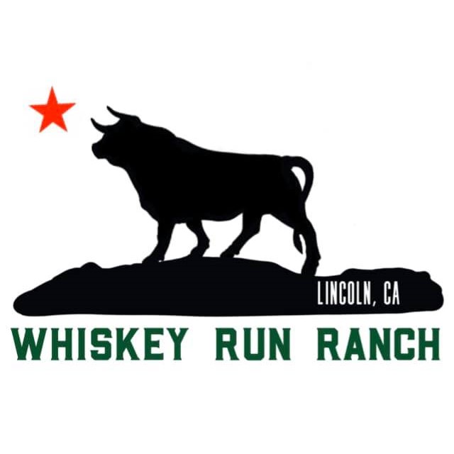 81943030 3205715146123060 3263044791172071424 n