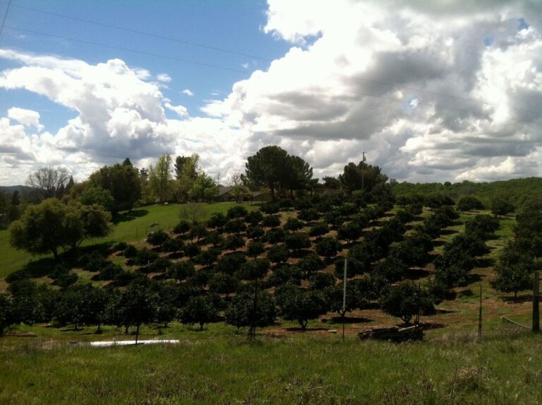 893928 552883878084551 1077869204 o 768x573