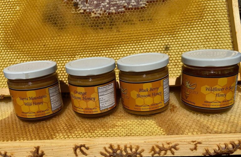 95621035 119879156372669 2744863373526040576 n 768x502