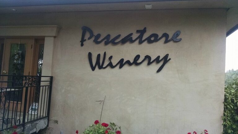 9578 1221392297872196 6344455611990124930 n 768x432