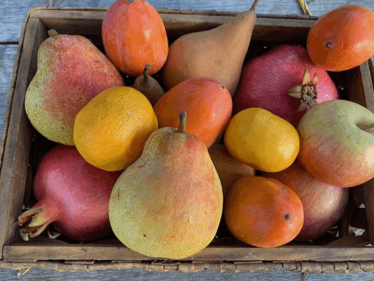 FALLFRUIT BASKET 768x576