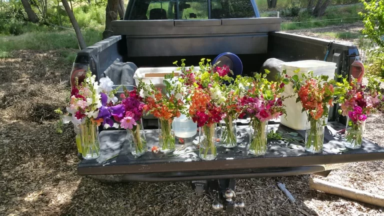 Flowers Organic JPG 768x432