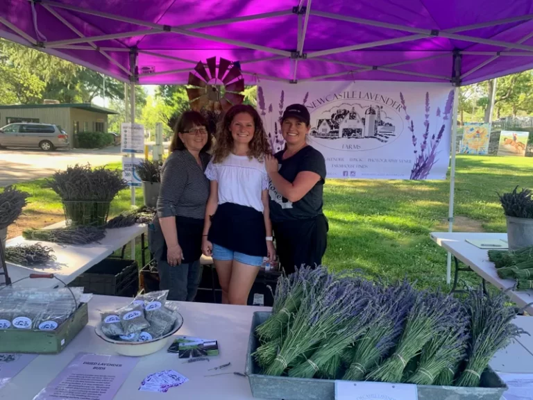 IMG 5925 1618450387 768x576