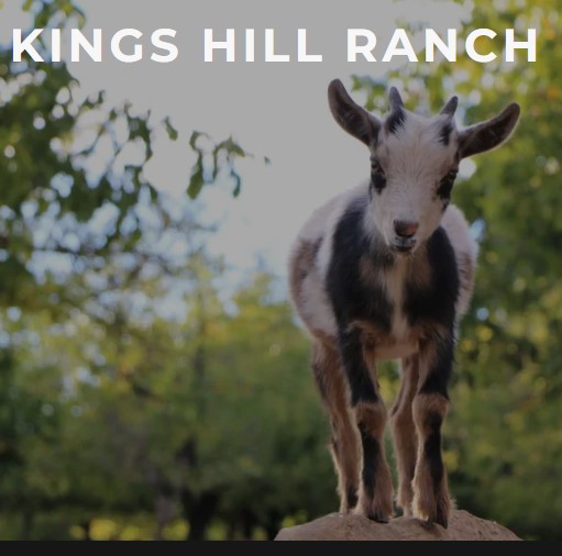 Kings Hill logo