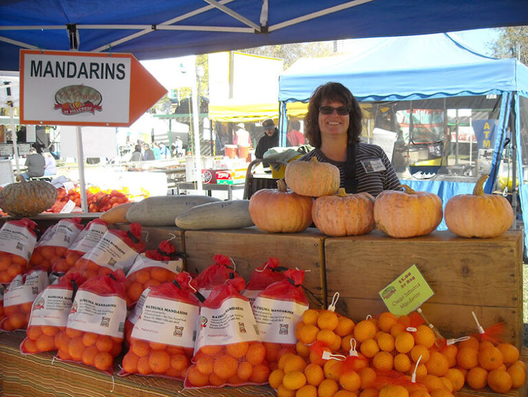 LisaBooth1117Home 768x577