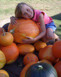 Majken pumpkin2006