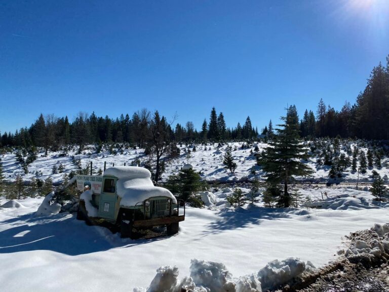 Snowy Peaks Image 768x576