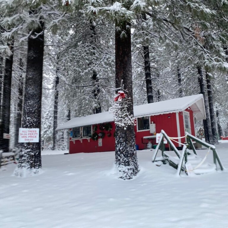 SnowyPeaksimage 768x768