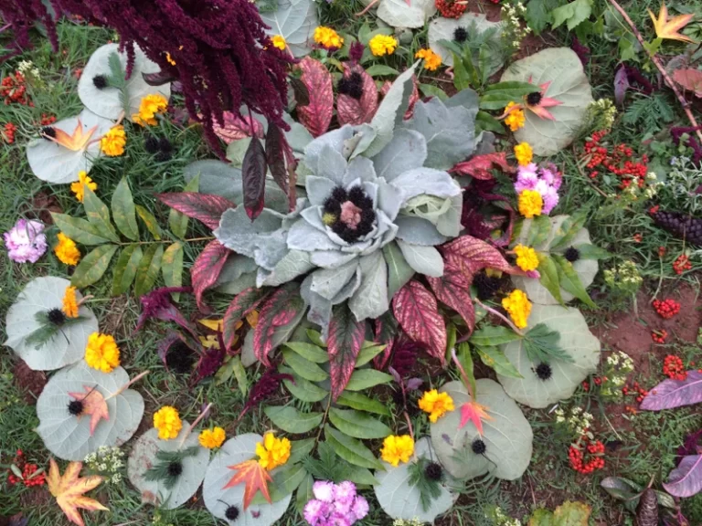 a0ea43359b3bf10b7f6c5e7c40799d78 768x576