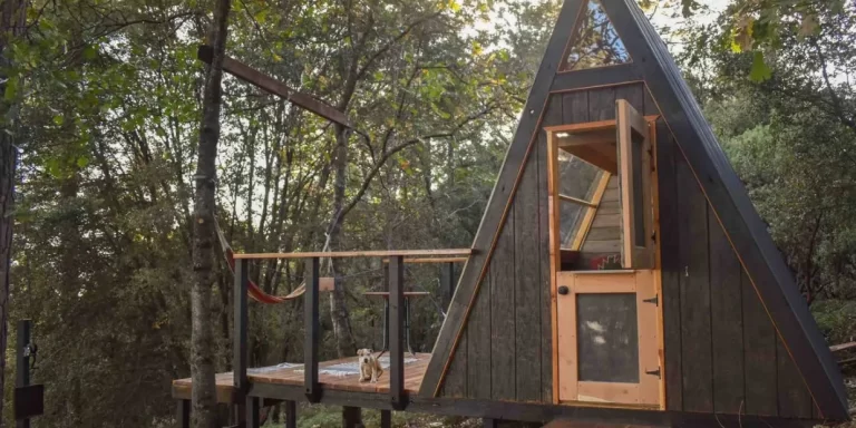 crw 1240h 620 768x384