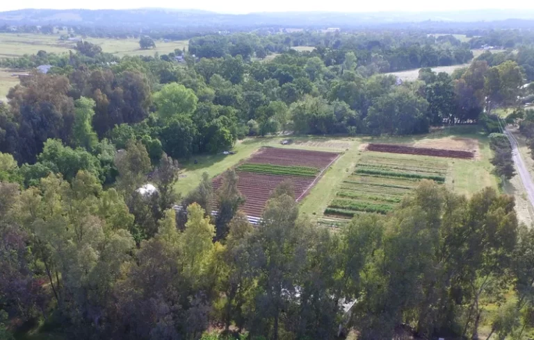 drone 1 043018 MzE0ND 768x490