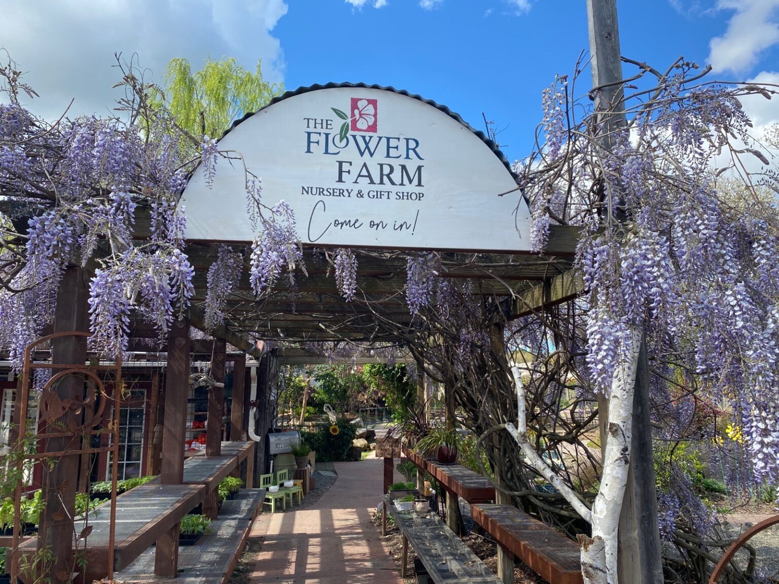 the-flower-farm-nursery-gift-shop-placergrown