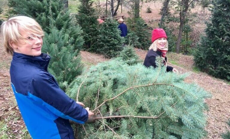 pine valley ranch banner 1600x774 c 768x466