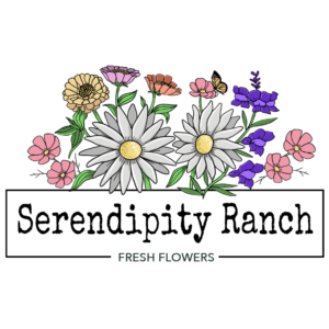 serendipity ranch logo color 4 300x300